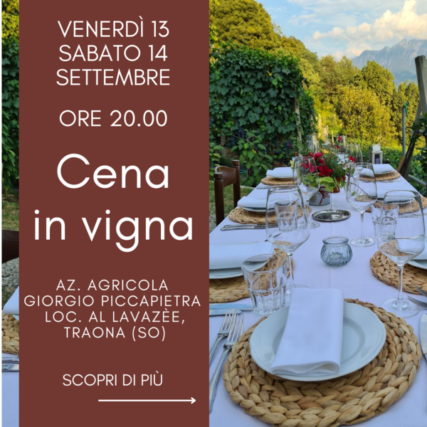 Cena in vigna